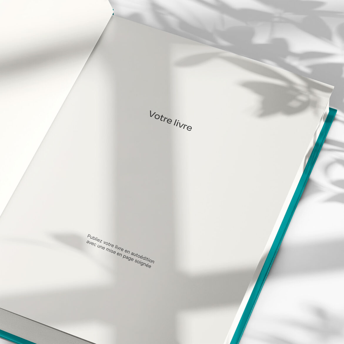 autoédition — mise en page de livres & romans